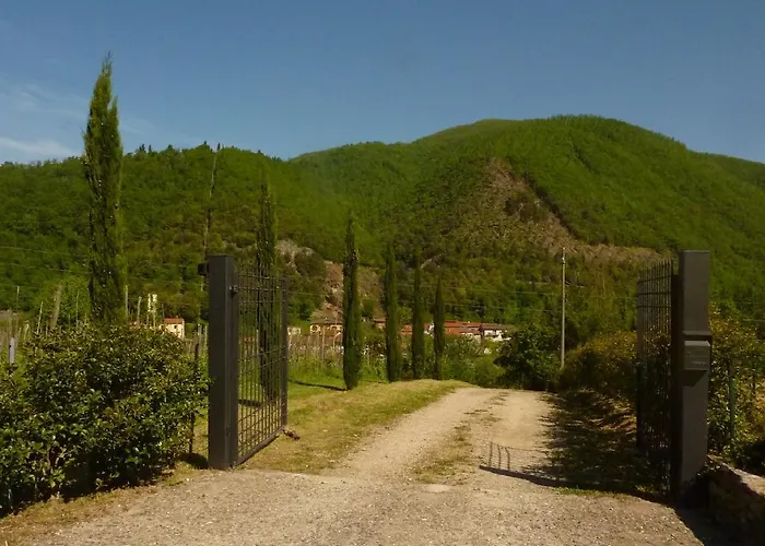 Ai Torchi Vecchi